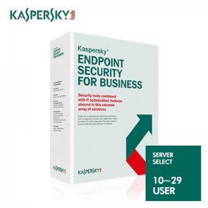 [Kaspersky]카스퍼스키 Kaspersky Endpoint Security for Server Select10~29 User 1년 신규/갱신